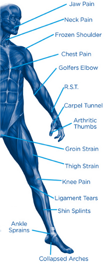 Anatomy injuries
